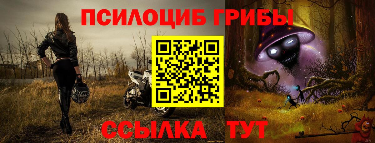 Псилоцибиновые грибы Cubensis Екатеринбург